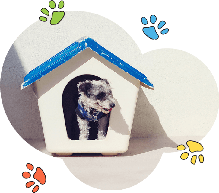 every dog has its safe space during their stay with us