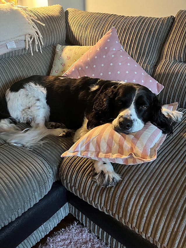 Dotty its a hardlife staying here